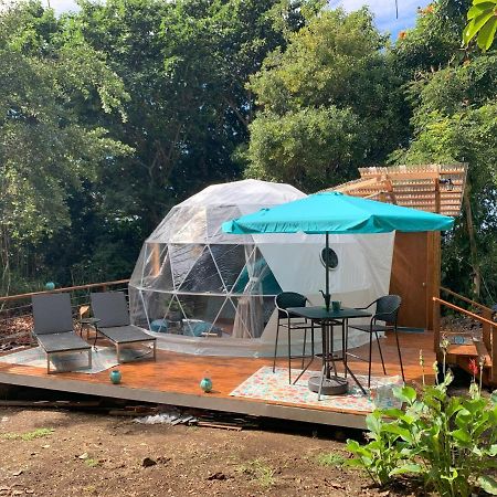 Manta Soul Jungle Geodome Hotel Kealakekua Екстериор снимка