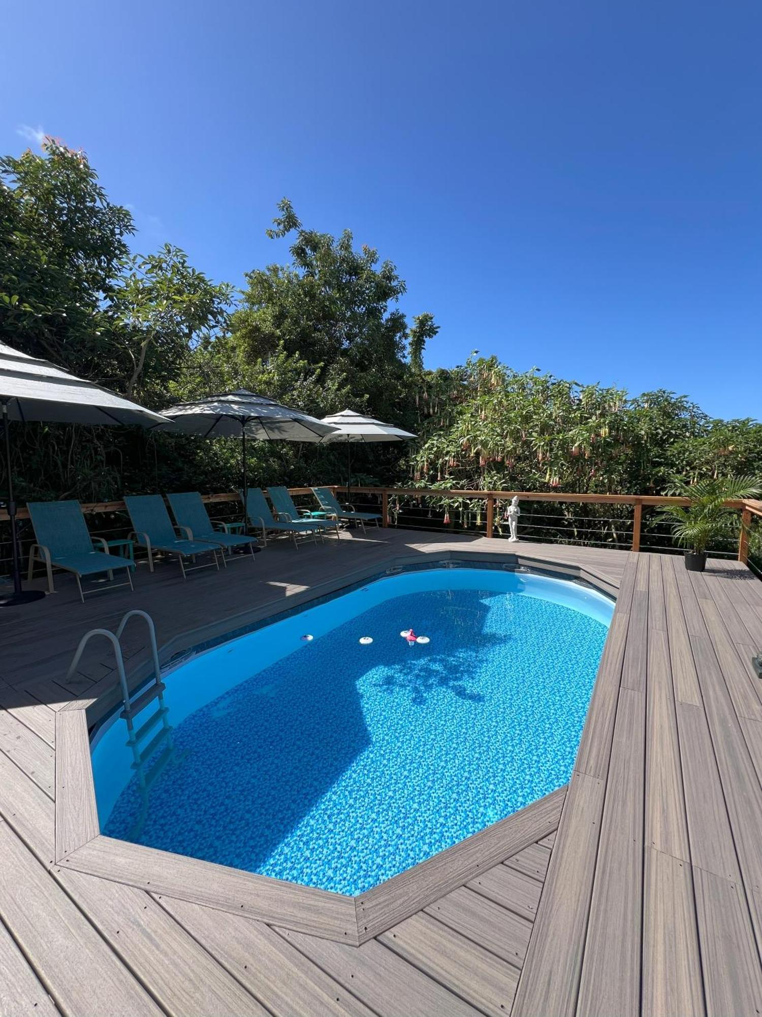 Manta Soul Jungle Geodome Hotel Kealakekua Екстериор снимка